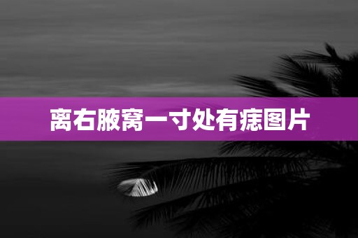 离右腋窝一寸处有痣图片