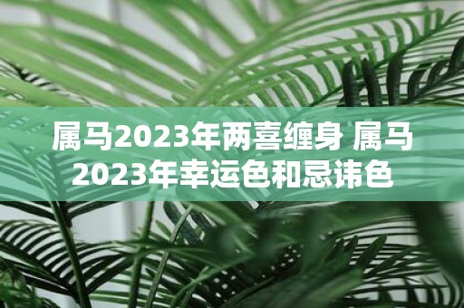 属马2025年两喜缠身 属马2025年幸运色和忌讳色