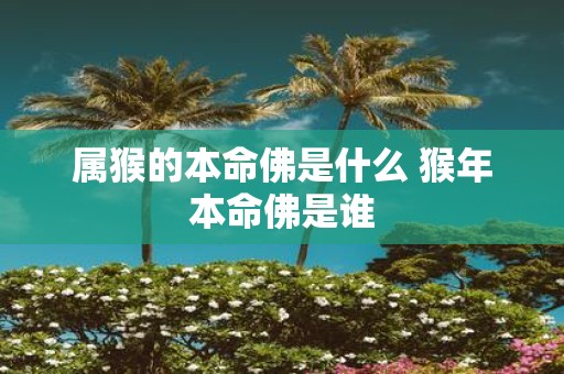 属猴的本命佛是什么 猴年本命佛是谁