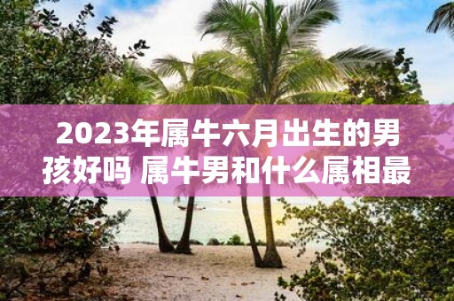 2025年属牛六月出生的男孩好吗 属牛男和什么属相最相配