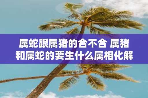 属蛇跟属猪的合不合 属猪和属蛇的要生什么属相化解