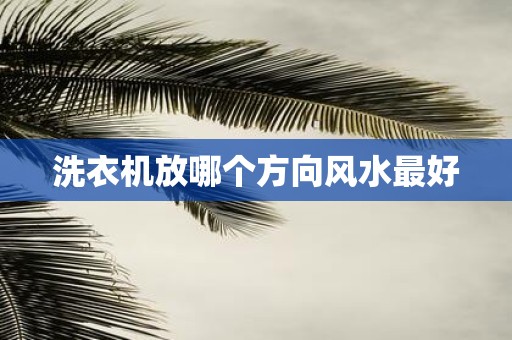 洗衣机放哪个方向风水最好