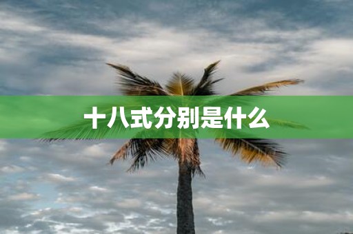 十八式分别是什么