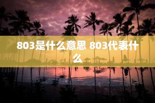 803是什么意思 803代表什么