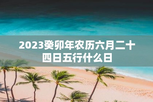 2025癸卯年农历六月二十四日五行什么日