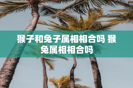 猴子和兔子属相相合吗 猴兔属相相合吗