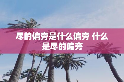 尽的偏旁是什么偏旁 什么是尽的偏旁