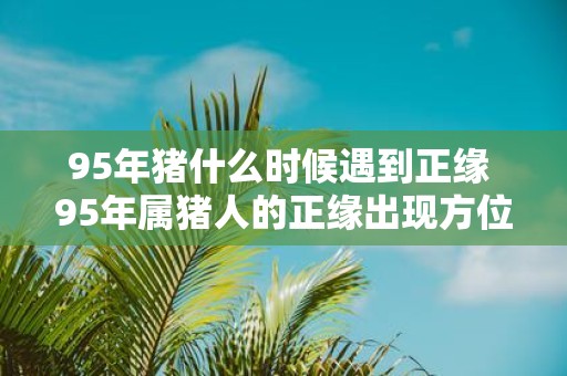 95年猪什么时候遇到正缘 95年属猪人的正缘出现方位