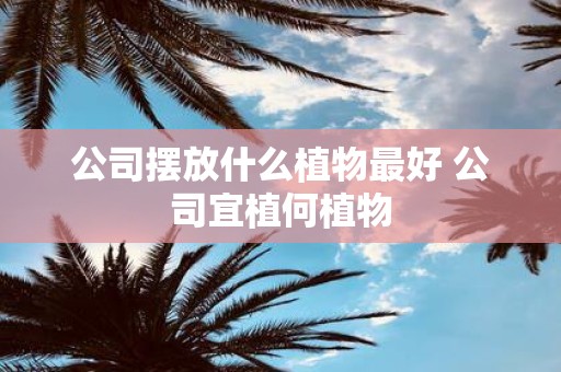 公司摆放什么植物最好 公司宜植何植物