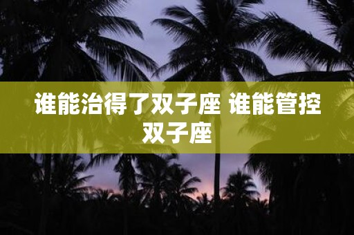 谁能治得了双子座 谁能管控双子座
