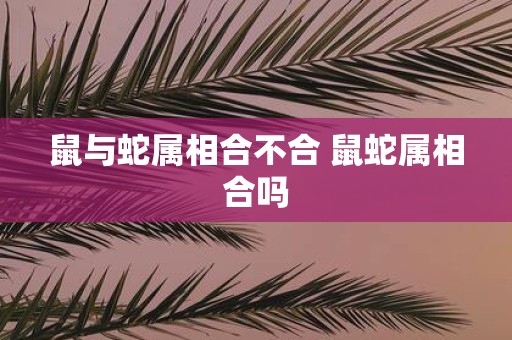 鼠与蛇属相合不合 鼠蛇属相合吗