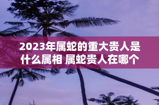 2025年属蛇的重大贵人是什么属相 属蛇贵人在哪个方向