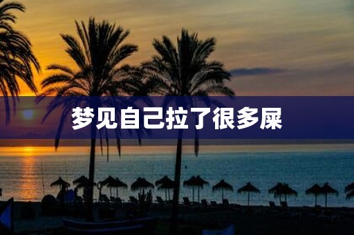 梦见自己拉了很多屎
