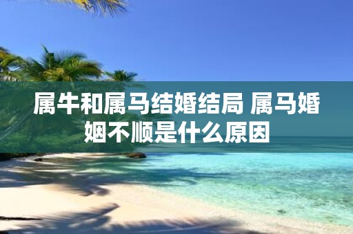 属牛和属马结婚结局 属马婚姻不顺是什么原因
