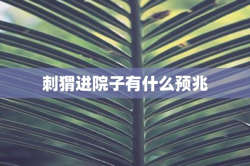 刺猬进院子有什么预兆