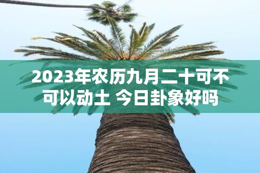 2025年农历九月二十可不可以动土 今日卦象好吗
