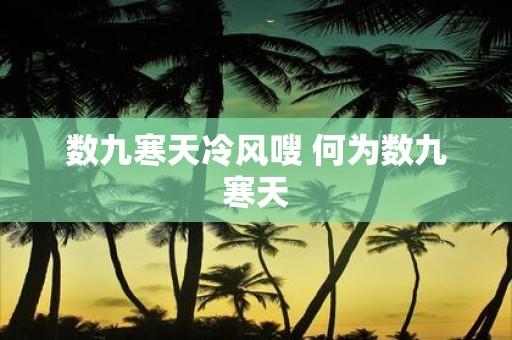 数九寒天冷风嗖 何为数九寒天