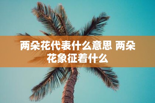 两朵花代表什么意思 两朵花象征着什么