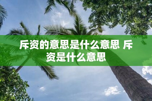 斥资的意思是什么意思 斥资是什么意思