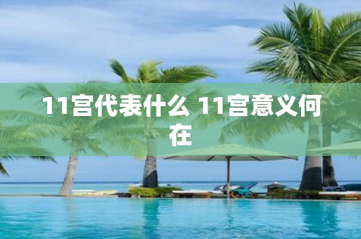 11宫代表什么 11宫意义何在