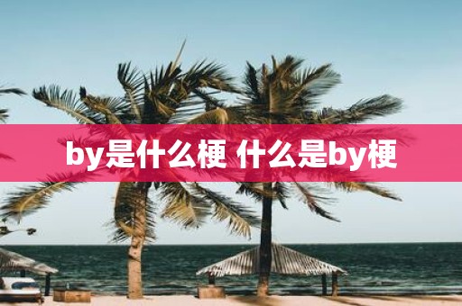 by是什么梗 什么是by梗