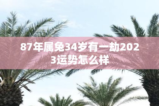 87年属兔34岁有一劫2025运势怎么样