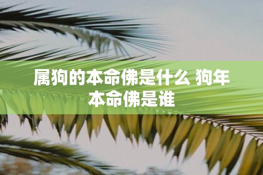 属狗的本命佛是什么 狗年本命佛是谁