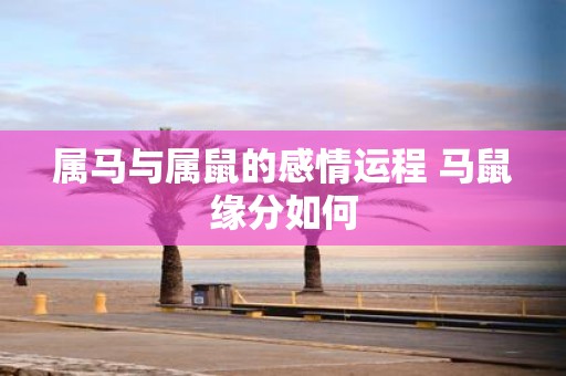 属马与属鼠的感情运程 马鼠缘分如何