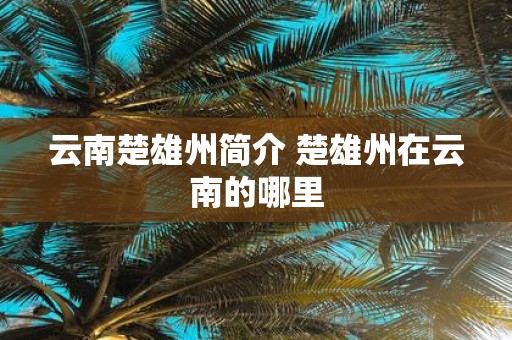 云南楚雄州简介 楚雄州在云南的哪里