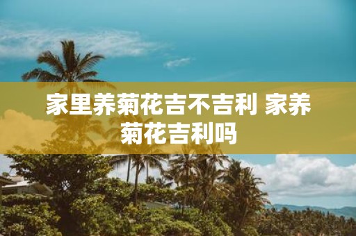 家里养菊花吉不吉利 家养菊花吉利吗