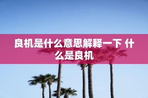 良机是什么意思解释一下 什么是良机