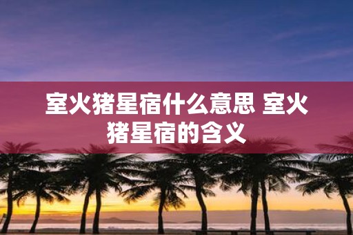 室火猪星宿什么意思 室火猪星宿的含义