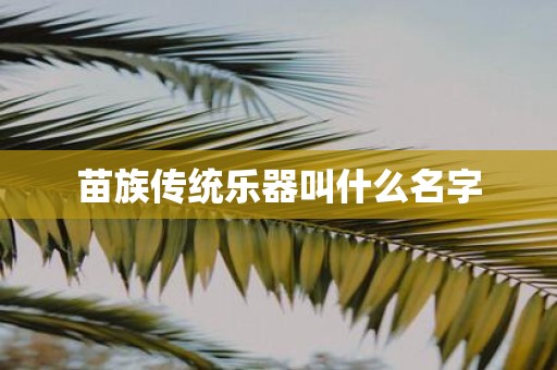 苗族传统乐器叫什么名字