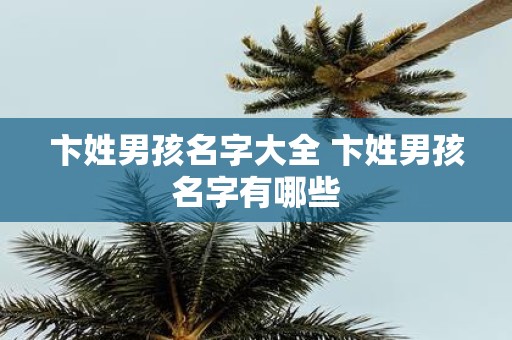 卞姓男孩名字大全 卞姓男孩名字有哪些