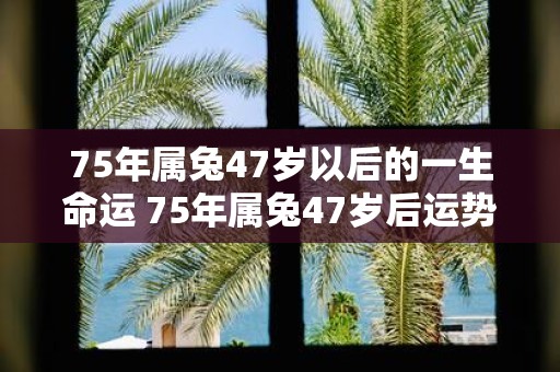75年属兔47岁以后的一生命运 75年属兔47岁后运势