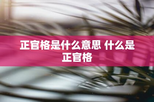 正官格是什么意思 什么是正官格