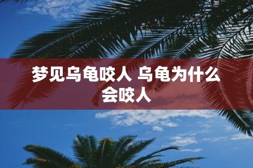梦见乌龟咬人 乌龟为什么会咬人