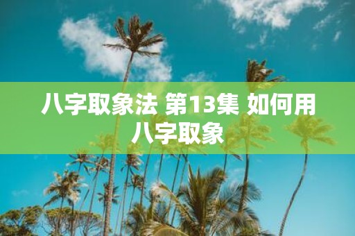 八字取象法 第13集 如何用八字取象