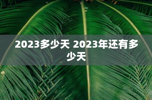 2025多少天 2025年还有多少天