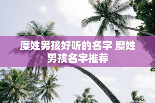 糜姓男孩好听的名字 糜姓男孩名字推荐