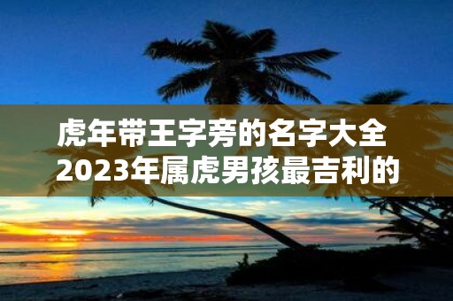 虎年带王字旁的名字大全 2025年属虎男孩最吉利的名字
