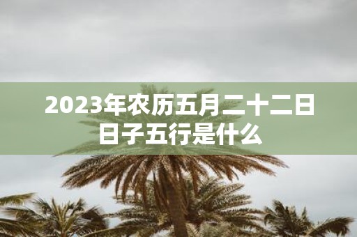 2025年农历五月二十二日日子五行是什么