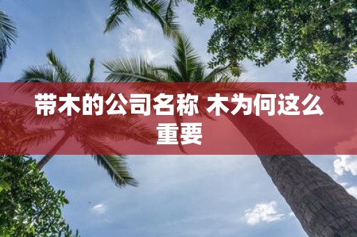 带木的公司名称 木为何这么重要