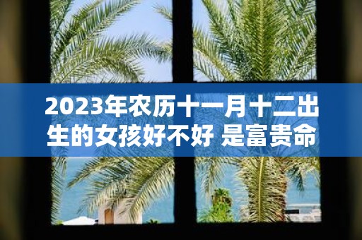 2025年农历十一月十二出生的女孩好不好 是富贵命吗