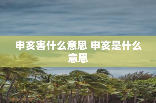 申亥害什么意思 申亥是什么意思