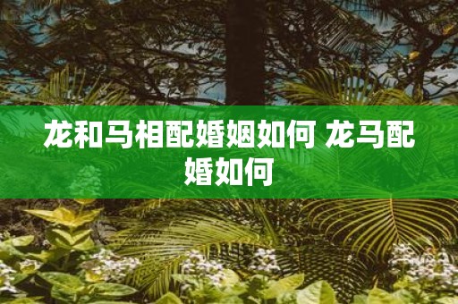 龙和马相配婚姻如何 龙马配婚如何