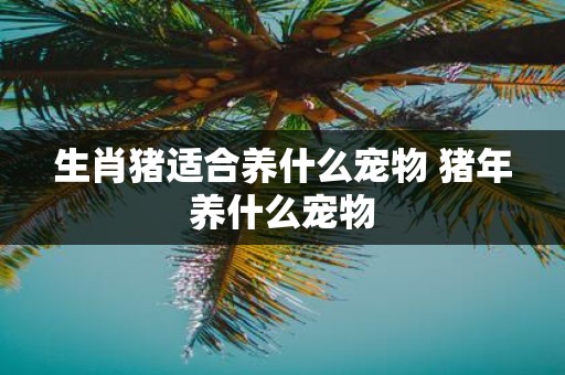 生肖猪适合养什么宠物 猪年养什么宠物