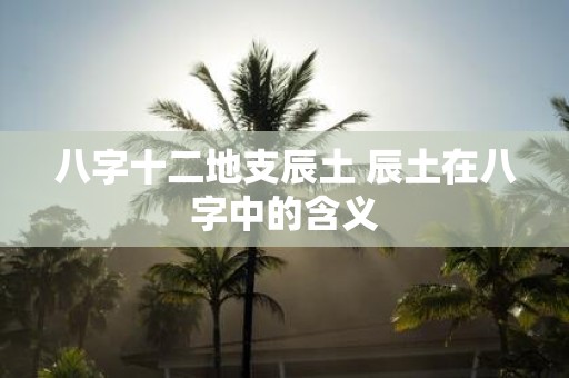 八字十二地支辰土 辰土在八字中的含义
