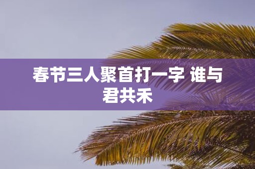 春节三人聚首打一字 谁与君共禾