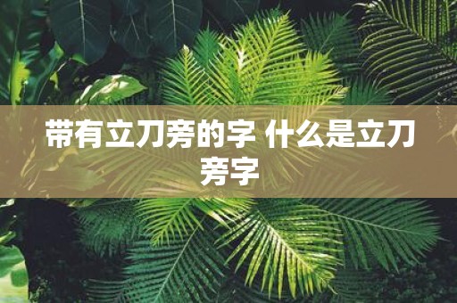 带有立刀旁的字 什么是立刀旁字